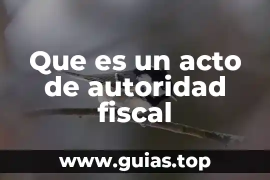Que es la figura de la autoridad 5 Que es un acto de autoridad fiscal
