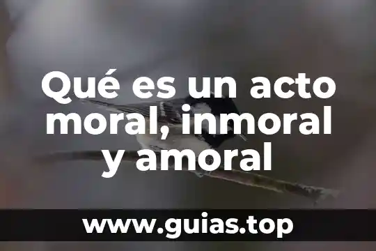 Que es un codigo moral y tipos 7 Qué es un acto moral, inmoral y amoral