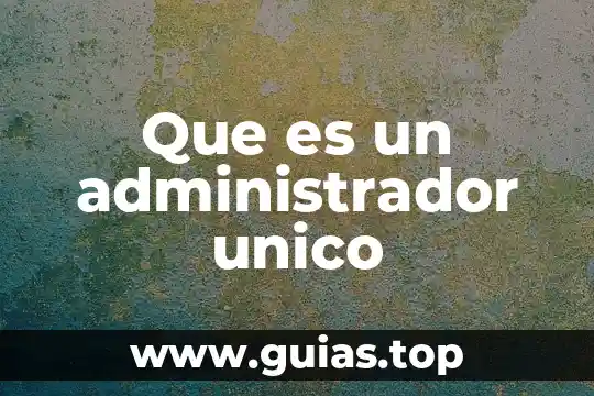 Que es un administrador rafael castillo y cruz 6 Que es un administrador unico