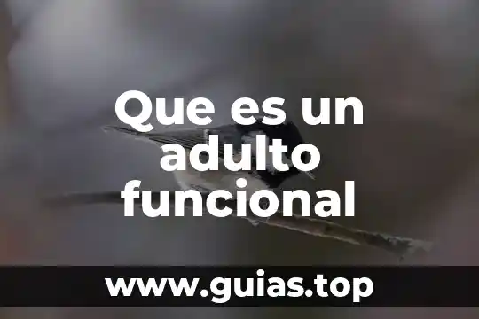 Que es la funcional estructuralizmo 5 Que es un adulto funcional