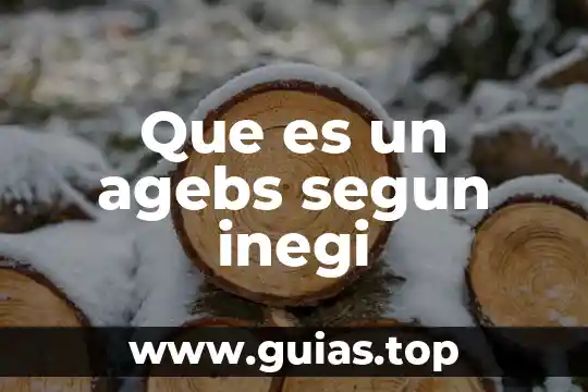 Que es n macro en word 4 Que es un agebs segun inegi