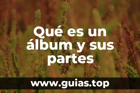 Que es un octaedro y sus partes 8 Qué es un álbum y sus partes