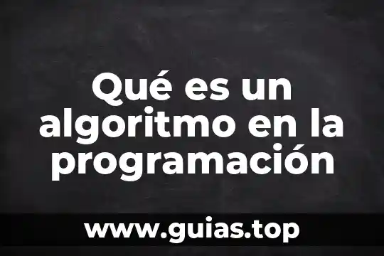 Qué es una dieta vegetariana definición 3 Qué es un algoritmo en la programación