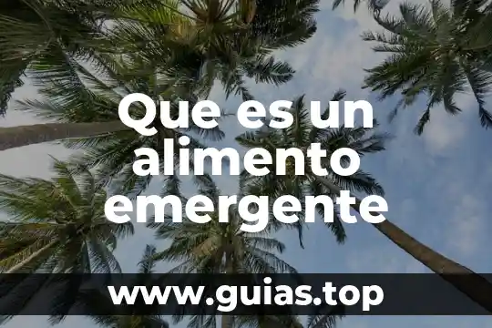 Que es equivalente de alimento 6 Que es un alimento emergente