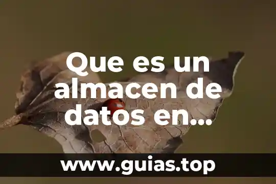 Qué es almacén de datos ejemplo 3 Que es un almacen de datos en estrella simple