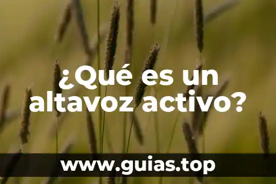 Qué es un pasivo activo 8 ¿Qué es un altavoz activo?
