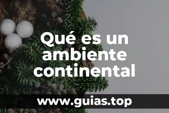 Que es un mapa a escala continental 7 Qué es un ambiente continental