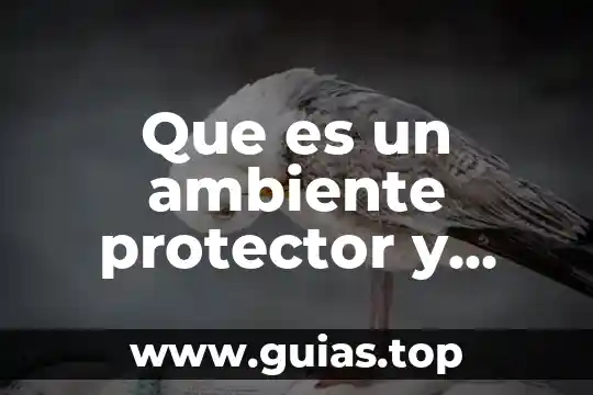 Ejemplos de lo que es la razonamiento 8 Que es un ambiente protector y ejemplos