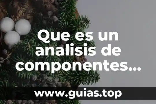 Qué es la filosofía y sus principales ramas 3 Que es un analisis de componentes principales de problema