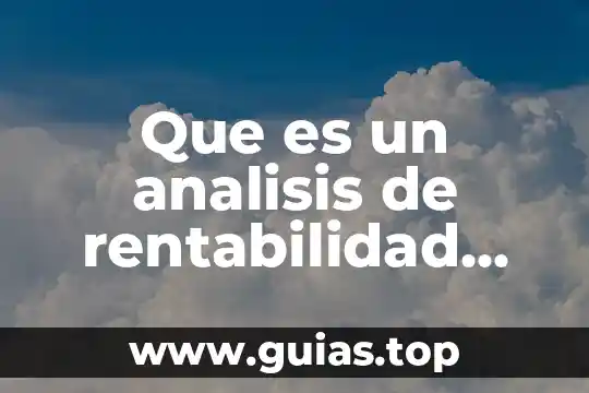 Análisis de tesis que es 6 Que es un analisis de rentabilidad del cliente