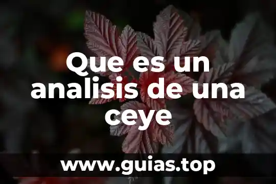 Análisis interno de una empresa que es 6 Que es un analisis de una ceye