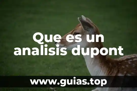 Que es un analisis cuantitativo de una franquicia 3 Que es un analisis dupont