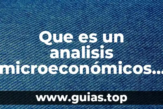 Análisis interno de una empresa que es 5 Que es un analisis microeconómicos y macroeconómicos