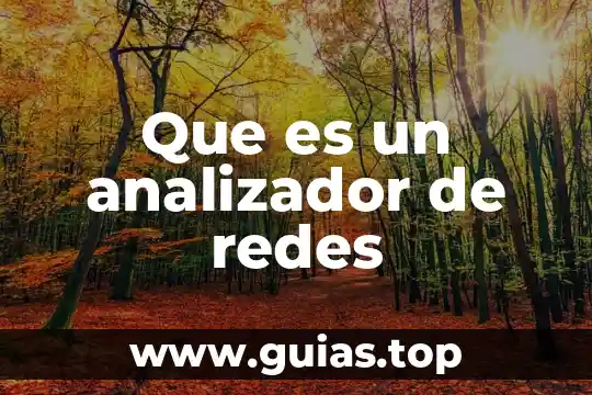 Que es un analizador de redes
