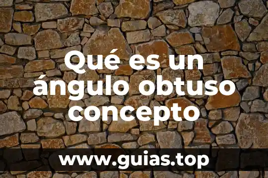Que es un epp concepto 4 Qué es un ángulo obtuso concepto