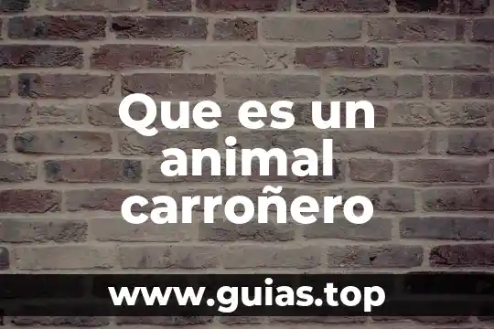 Qué es el animal vegetal 3 Que es un animal carroñero