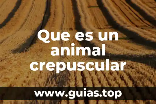 Que es el maltrato y abandono animal 7 Que es un animal crepuscular