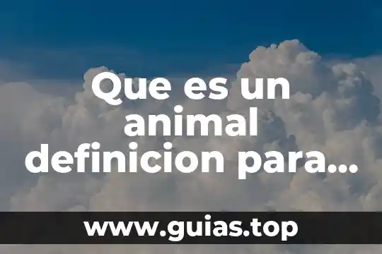 Que es el maltrato y abandono animal 6 Que es un animal definicion para ni帽os