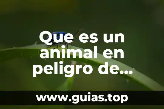 Que es la inteligencia animal 3 Que es un animal en peligro de extinciones