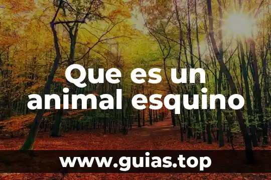 Que es la regla general en algebra 8 Que es un animal esquino