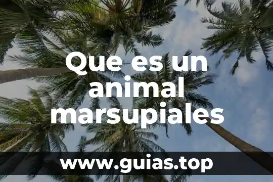 Qué es célula animal unam 7 Que es un animal marsupiales