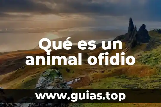 Que es inteligencia animal 5 Qué es un animal ofidio