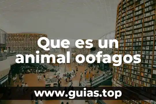Contrato para profesionistas que es 3 Que es un animal oofagos