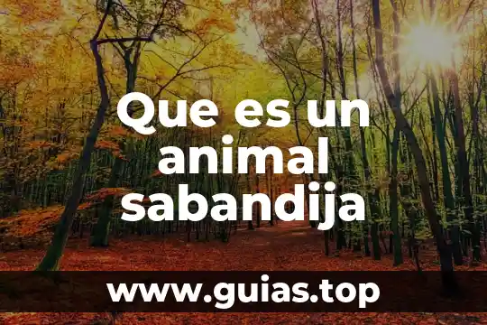 Que es un animal raptor 8 Que es un animal sabandija