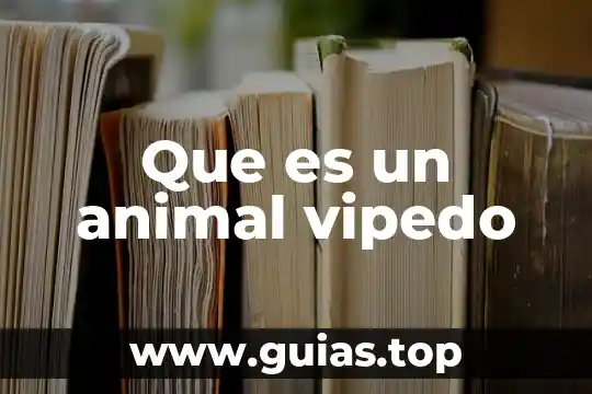 Que es un animal carroñero 4 Que es un animal vipedo