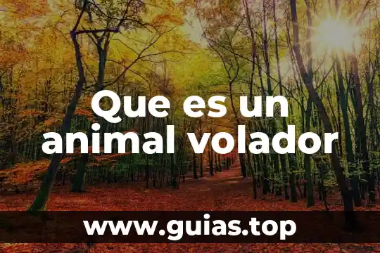 Que es un animal raptor 5 Que es un animal volador