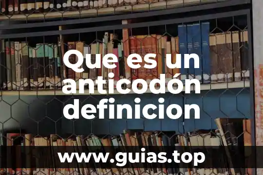 Que es la definición de un proyecto 7 Que es un anticodón definicion