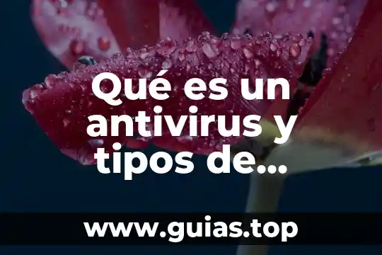 Que es un antivirus informatoco unam 4 Qué es un antivirus y tipos de antivirus informáticos
