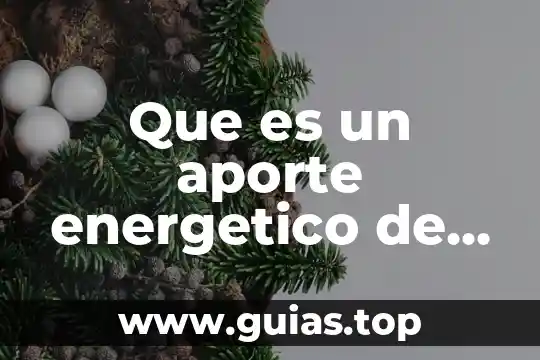 Acciones por las que es importante cocinar los alimentos 5 Que es un aporte energetico de los alimentos