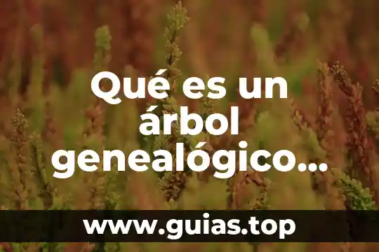 Que es el bulimia explicacion para niños 3 Qué es un árbol genealógico explicación para niños de preescolar
