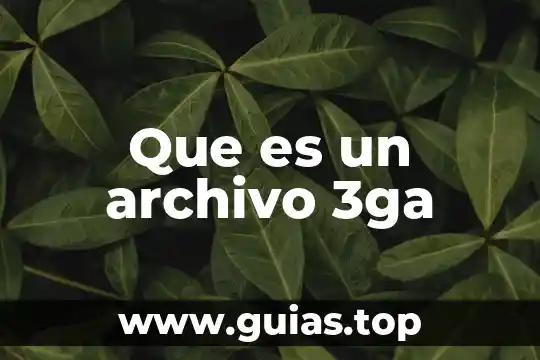Que es un archivo pfd 6 Que es un archivo 3ga