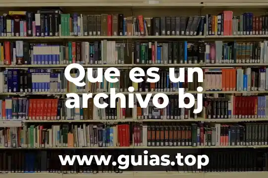 Que es un archivo pfd 3 Que es un archivo bj