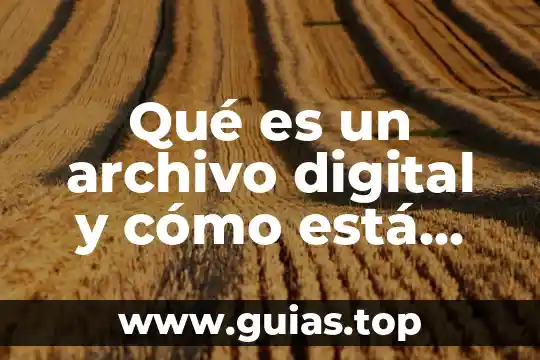 Que es un archivo wws 7 Qué es un archivo digital y cómo está compuesto