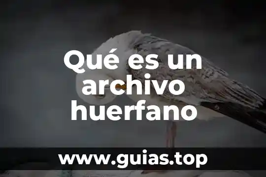 Que es un archivo pfd 5 Qué es un archivo huerfano