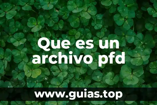 Qué es un archivo encriptado y como solucionarlo 3 Que es un archivo pfd