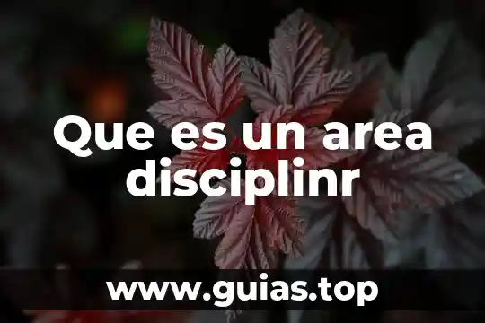 Qué es área para el principio de Pascal 3 Que es un area disciplinr