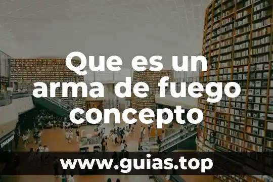 Tipos de sistemas de reservaciones que es 6 Que es un arma de fuego concepto