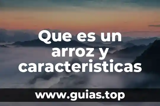 Que es un arroz y caracteristicas