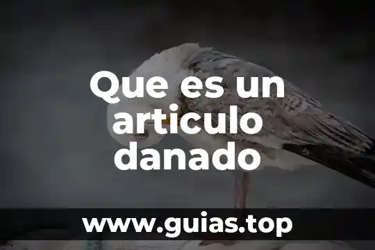 Que es el número factorial 3 Que es un articulo danado