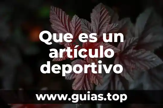 Que es un rally deportivo de conocimiento 3 Que es un artículo deportivo