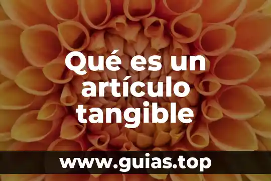 Interacción humano animal que es 6 Qué es un artículo tangible