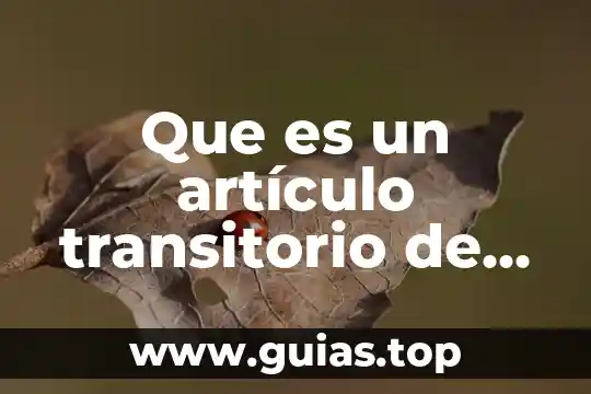Que es meco en mexico yahoo 8 Que es un artículo transitorio de la constitución