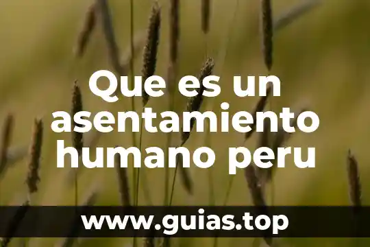 Que es un asentamiento humano peru