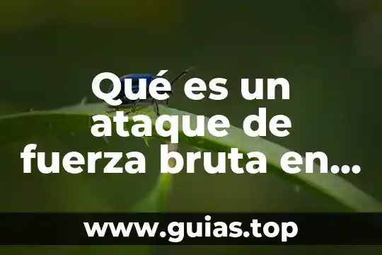 Que es un ser colectivo 7 Qué es un ataque de fuerza bruta en informática
