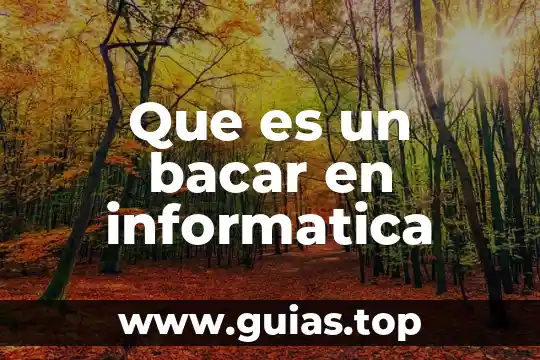 Qué es multiplexar en informática 6 Que es un bacar en informatica