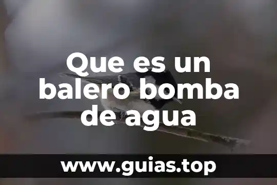 Que es una bomba tipos 7 Que es un balero bomba de agua